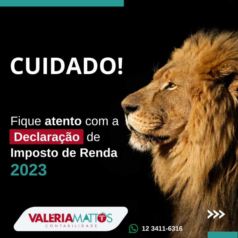 Imposto de Renda Pessoa Fisica 2023