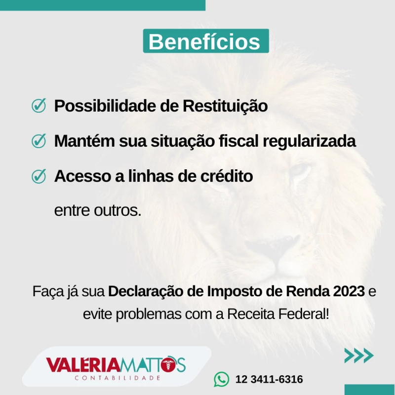 Imposto de Renda Pessoa Fisica 2023