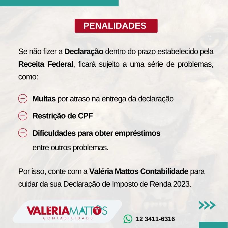 Imposto de Renda Pessoa Fisica 2023