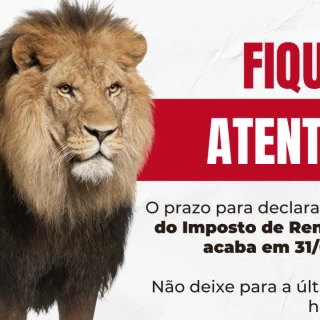 Imposto de Renda Pessoa Fisica 2023